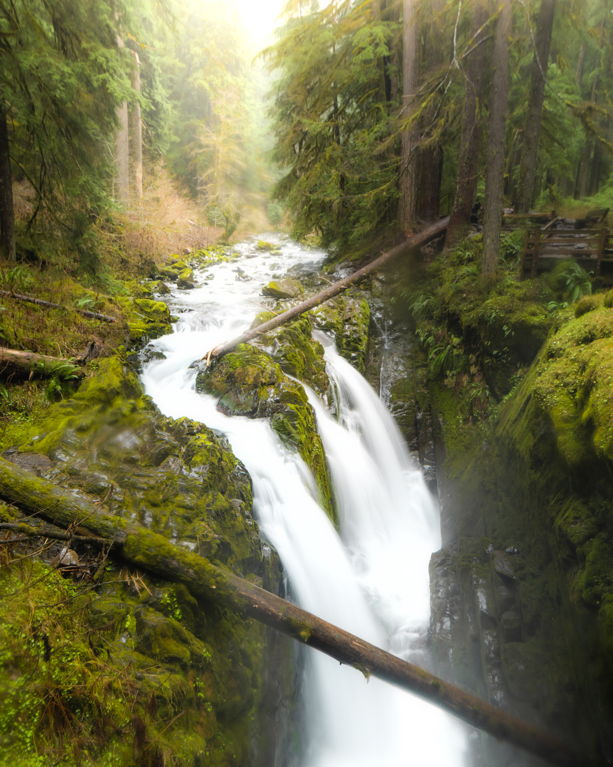 15 Beginner Friendly Hikes in Washington Sol Duc Falls