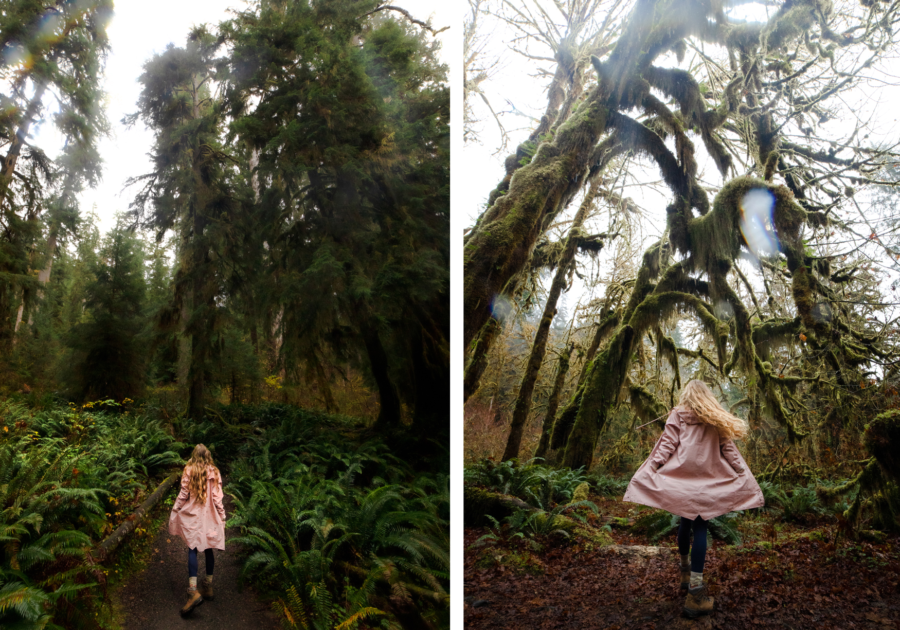 15 Beginner Friendly Hikes In Washington- Hoh Rainforest Nature Trail