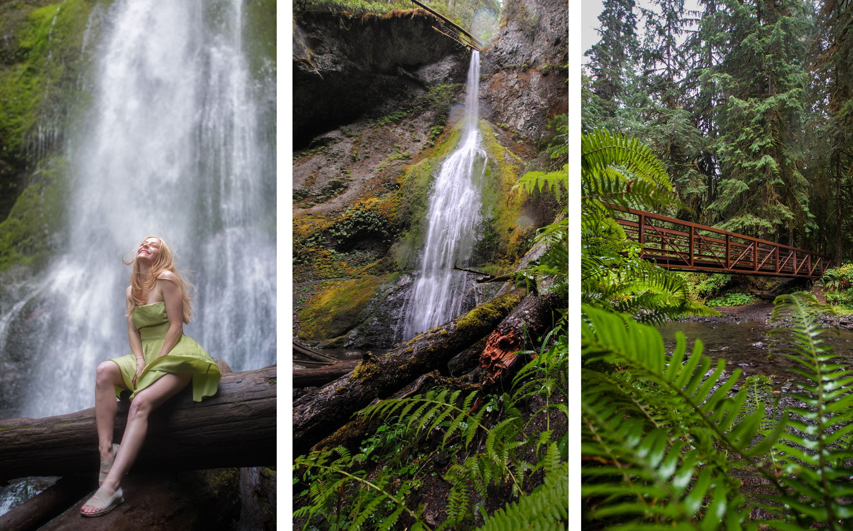 15 Beginner Friendly Hikes In Washington- Marymere Falls