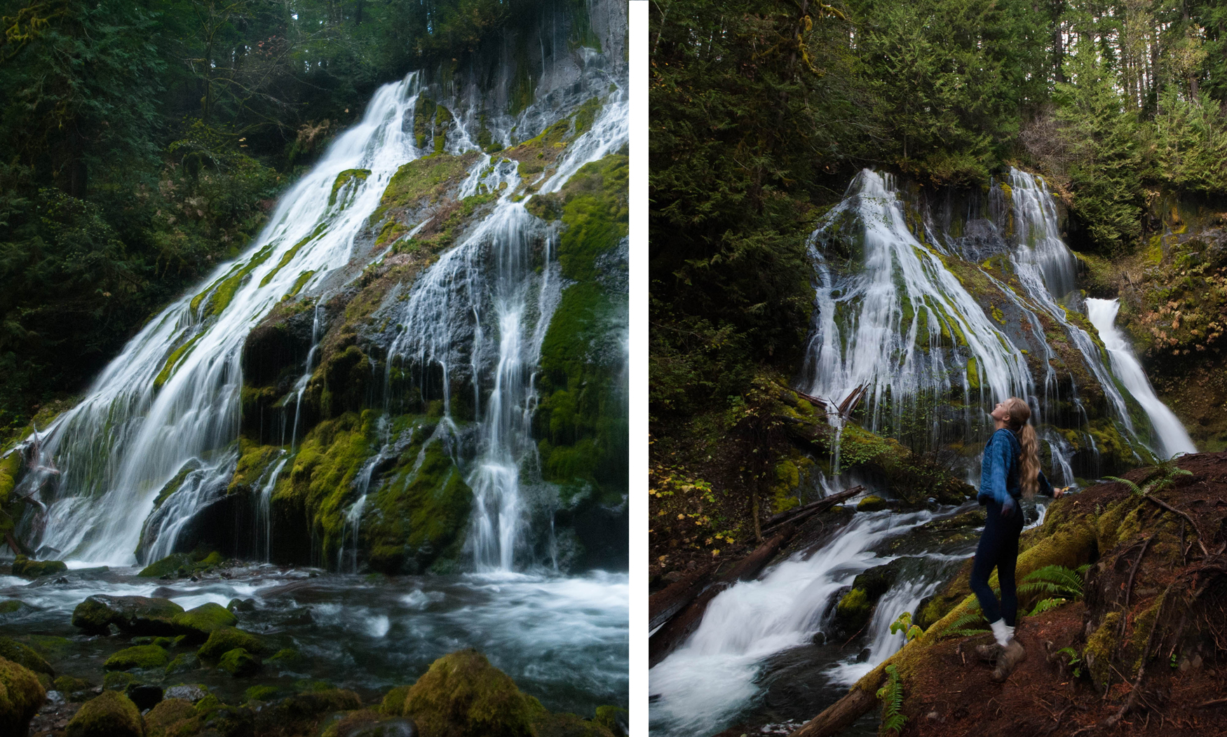 15 Beginner Friendly Hikes In Washington-Panther Creek Falls