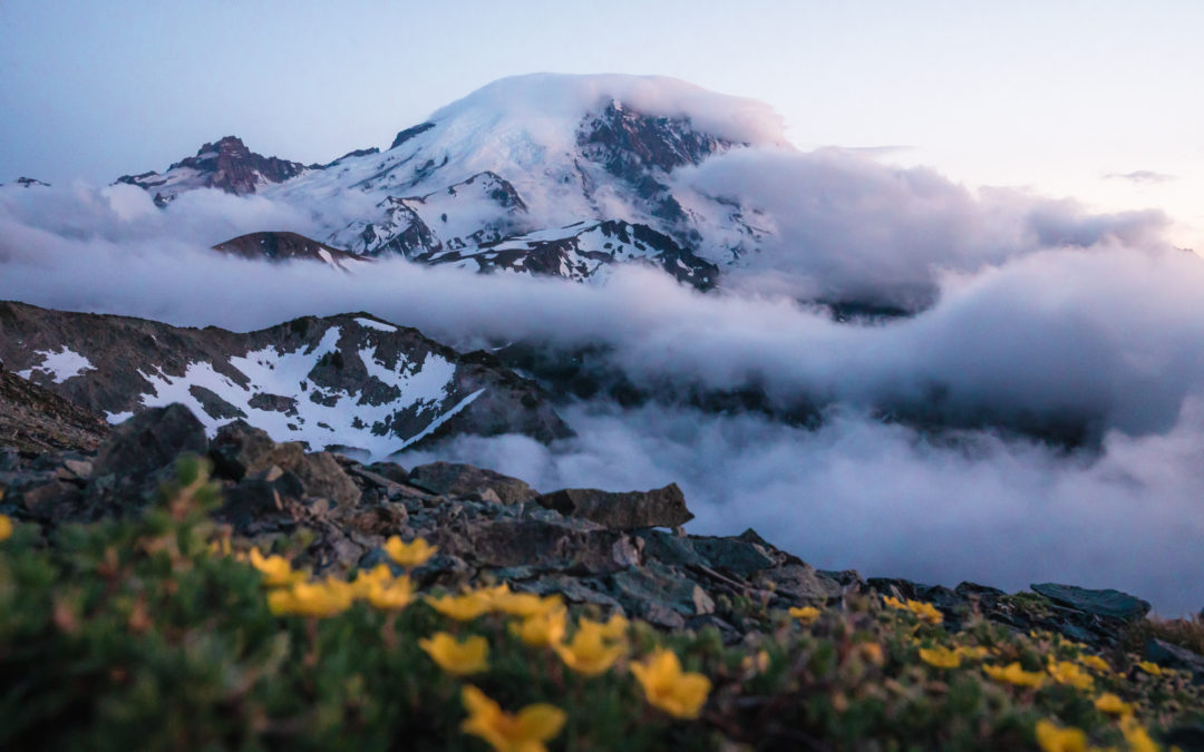 15 Beautiful and Beginner Friendly Hikes in Washington State