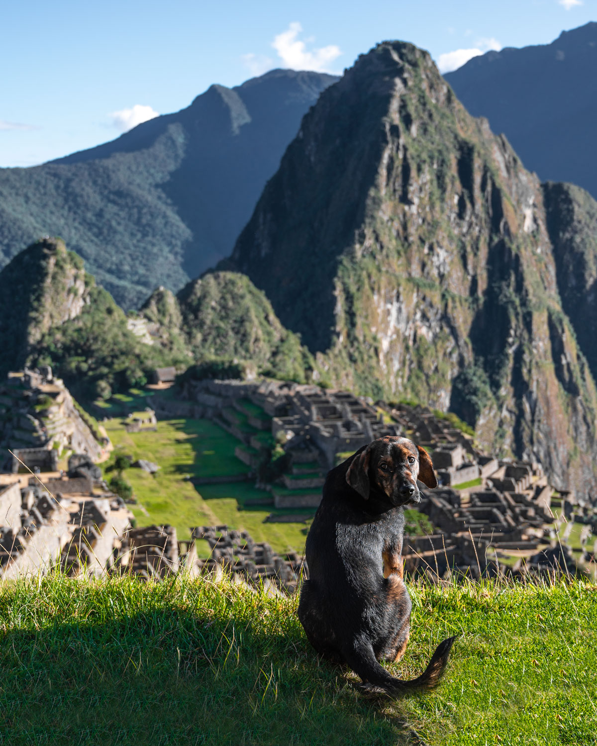 machu-picchu-travel