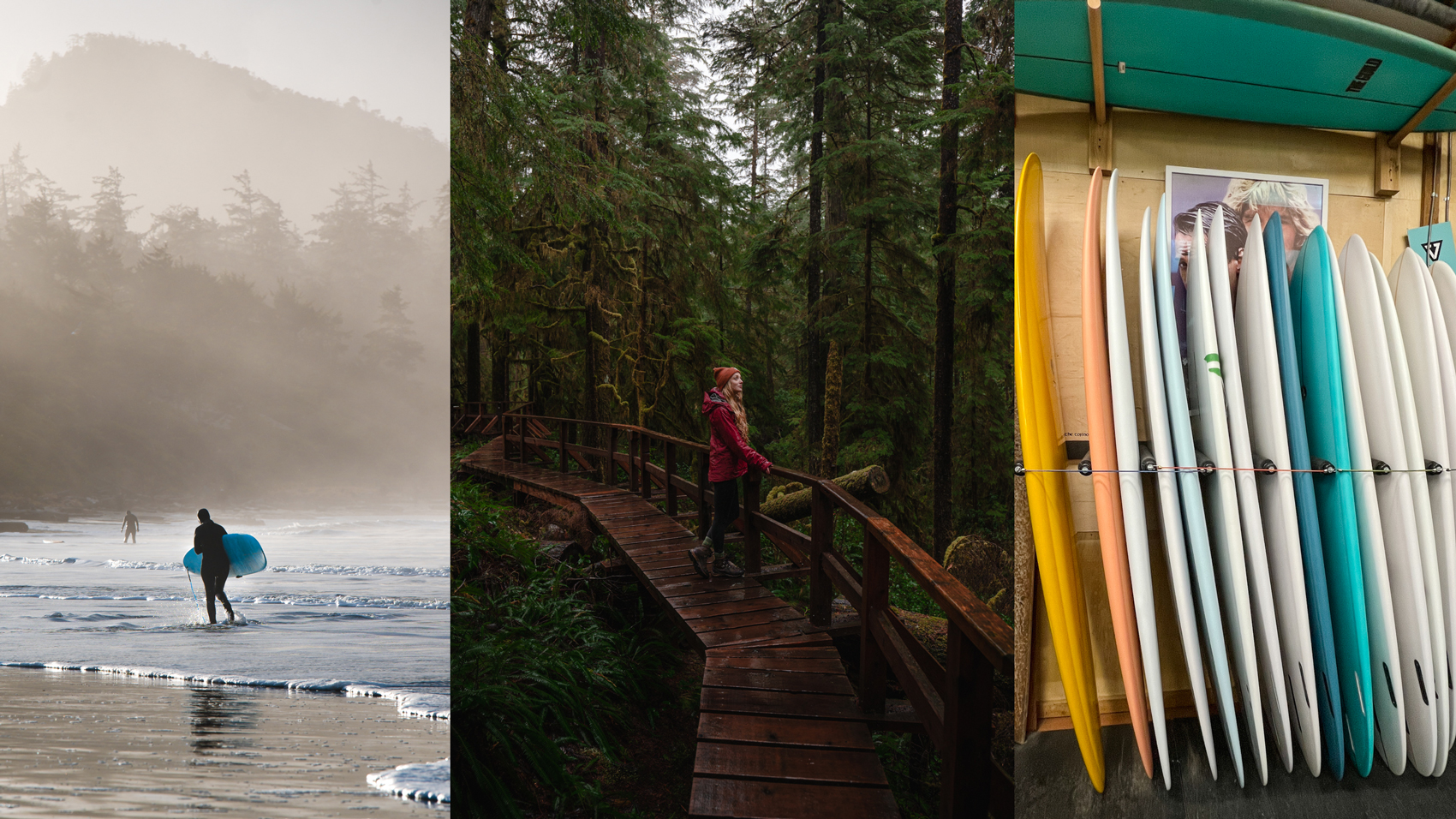 12 Unique Things To Do In Tofino