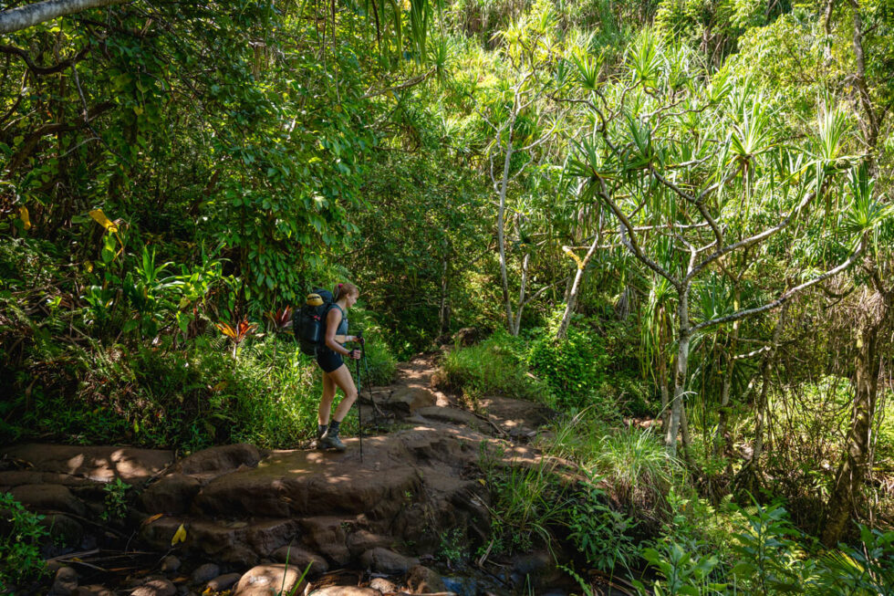 Kalalau Trail Kauai: Your Ultimate Guide To Backpacking The Napali ...