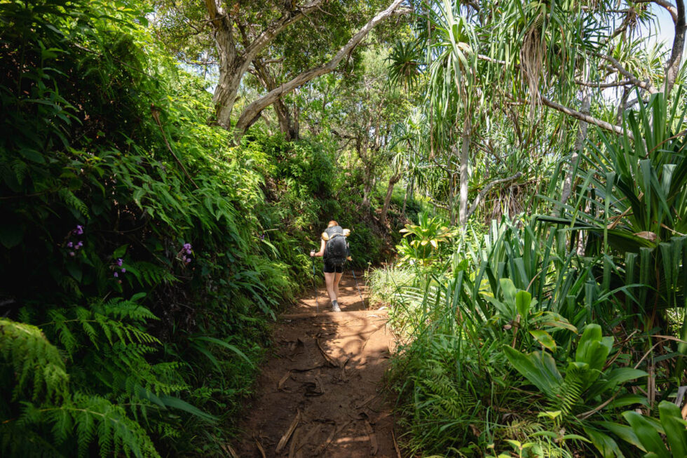 Kalalau Trail Kauai: Your Ultimate Guide To Backpacking The Napali ...