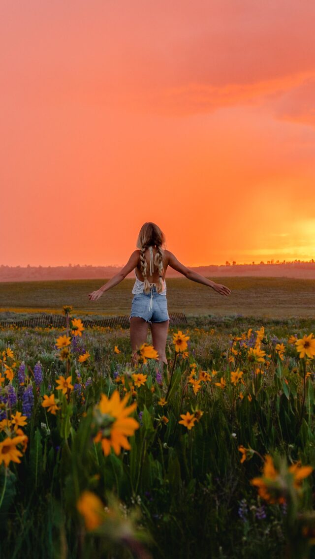 Frolic in a field at sunset?! 🌻🪻🌸